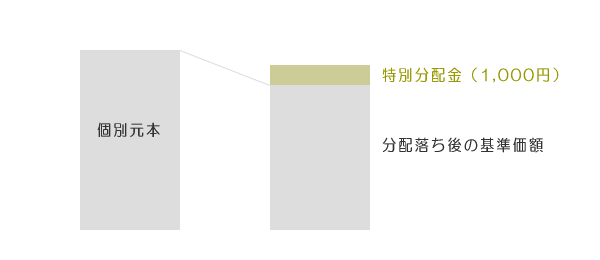 すべて特別分配金のケース